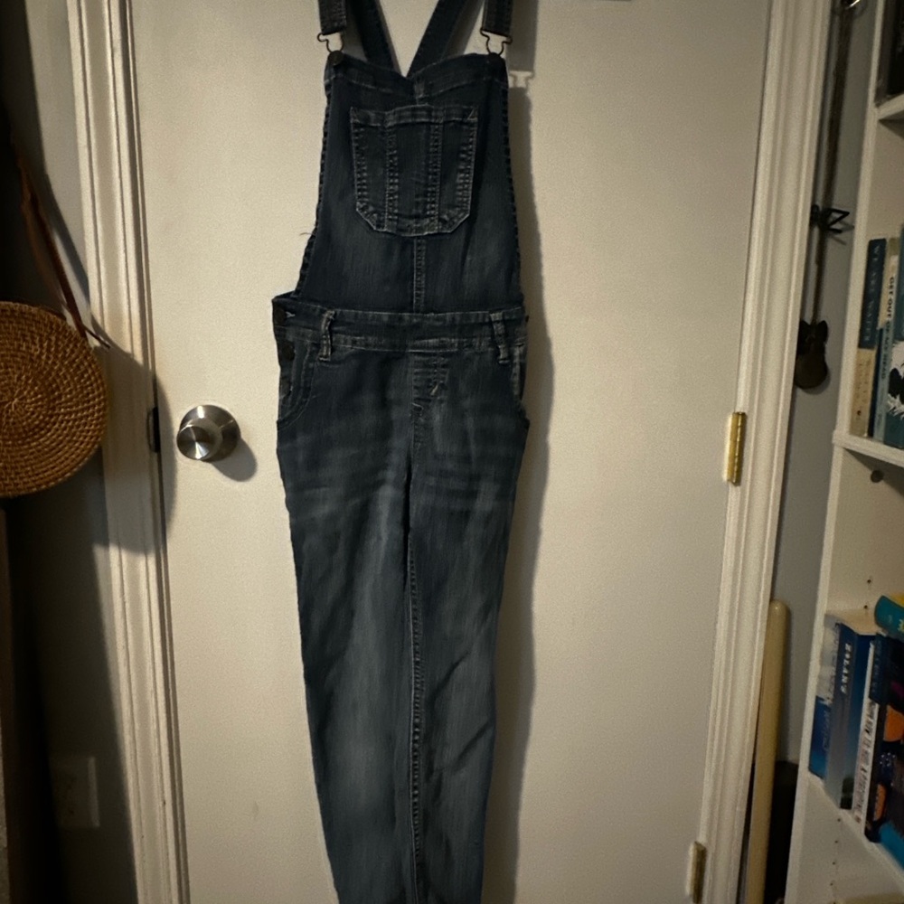 Wallflower Blue Denim Overalls